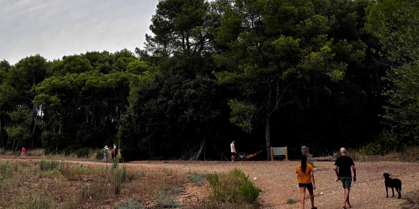 Sant Cugat asks for a plan to reopen Collserola