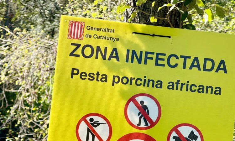 Collserola is choking local restoration due to the restrictions